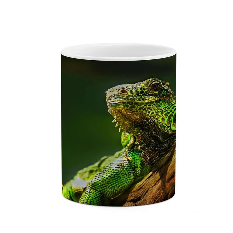 ماگ کاکتی مدل مارمولک کد mgh16736