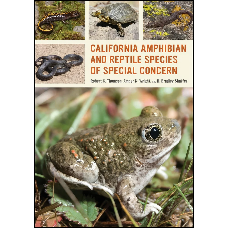 کتاب California Amphibian and Reptile Species of Special Concern اثر جمعي از نويسندگان انتشارات University of California Press