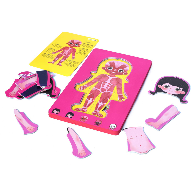 پازل آموزشی مدل  اعضای بدن دخترانه