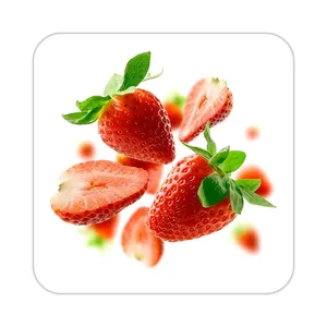 زیر لیوانی کاکتی طرح میوه مدل mp22137