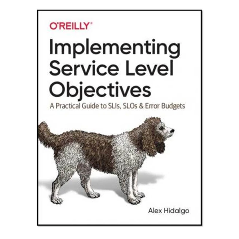 کتاب Implementing Service Level Objectives اثر Alex Hidalgo انتشارات مولفین طلایی