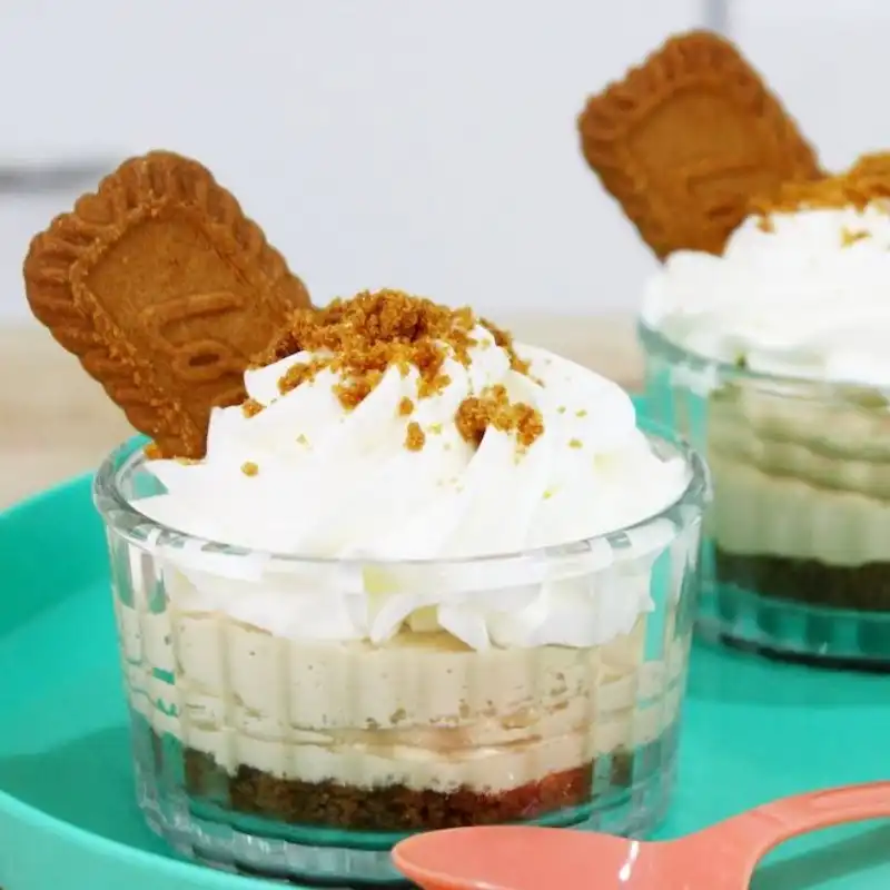 کاتر
شیرینی پزی مدل لوتوس مستطیلی