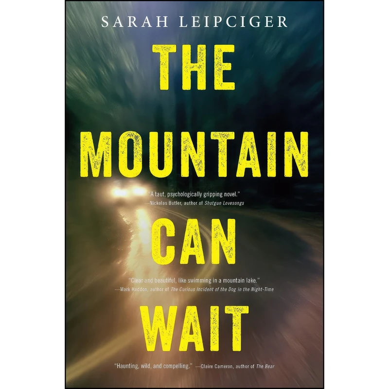 کتاب The Mountain Can Wait اثر Sarah Leipciger انتشارات تازه ها