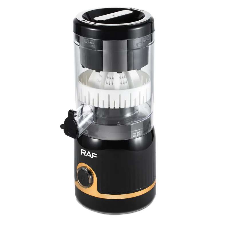 مخلوط کن 0.25 لیتری راف مدل R.613