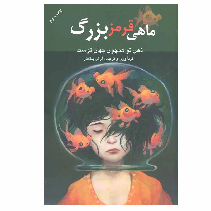 کتاب ماهی قرمز بزرگ اثر آرش بهشتی انتشارات درسا