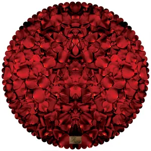 رومیزی رنس مدل TT2-42803