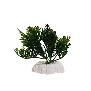 گیاه تزیینی آکواریوم کد 0012