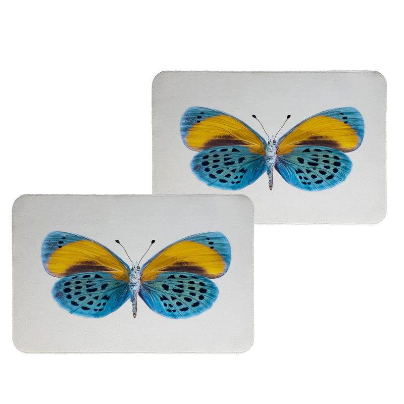 زیربشقابی طرح پروانه کد 9017 بسته 2 عددی 