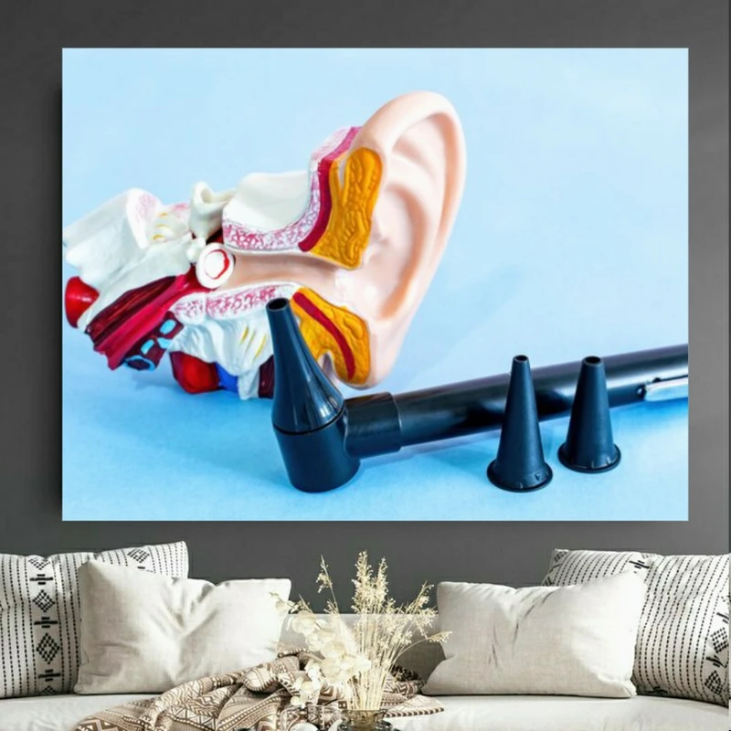 تابلو بوم طرح مخمل شنوایی سنجی مدل ابزار معاینه گوش کد PD105817