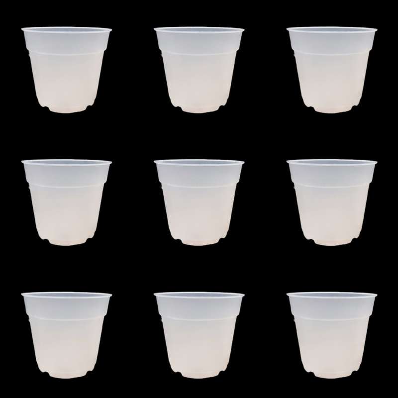 گلدان مدل شفاف ارکیده 18cm بسته 9 عددی