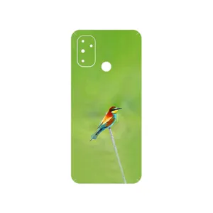 MAHOOT European bee-eater Cover Sticker for OnePlus Nord N100