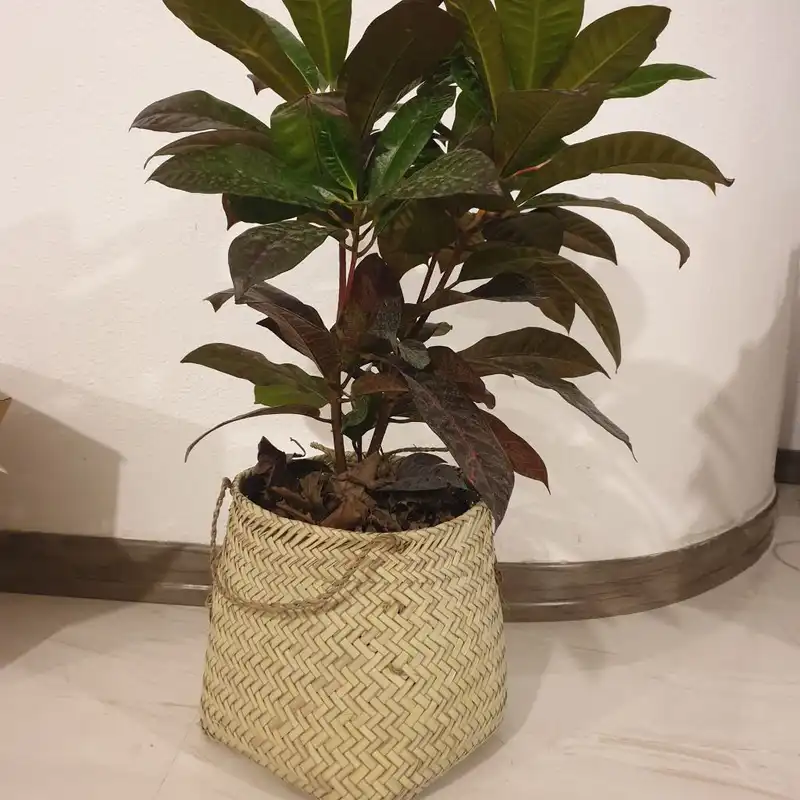 سبد حصیری مدل استوانه کد 30