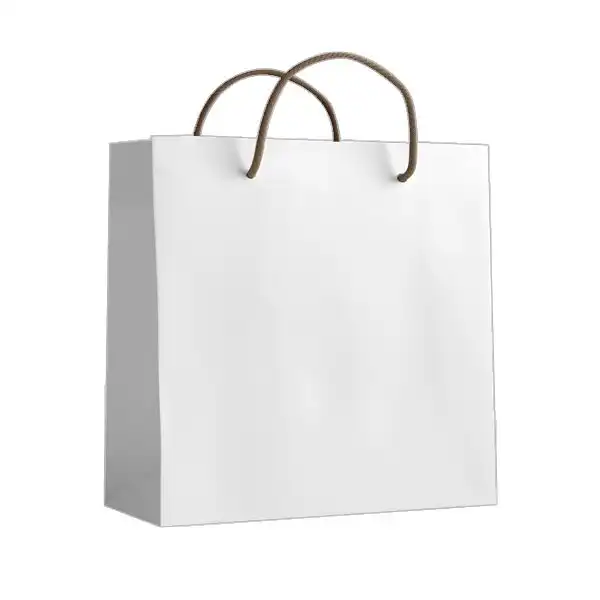 ساک دستی مدل 10084 بسته 12 عددی