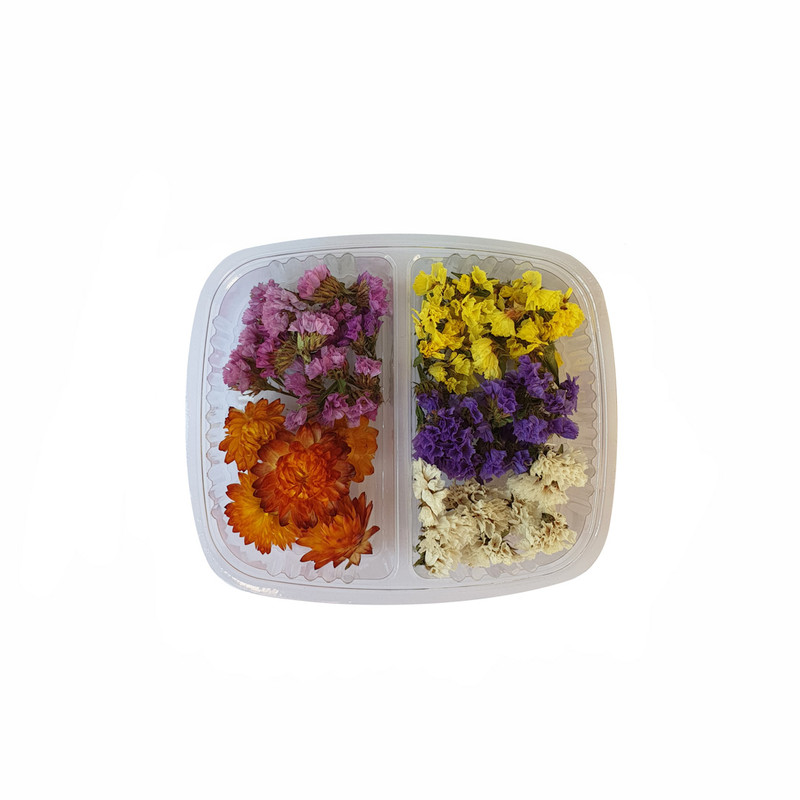 گل خشک مدل mixed 2 مجموعه دو عددی