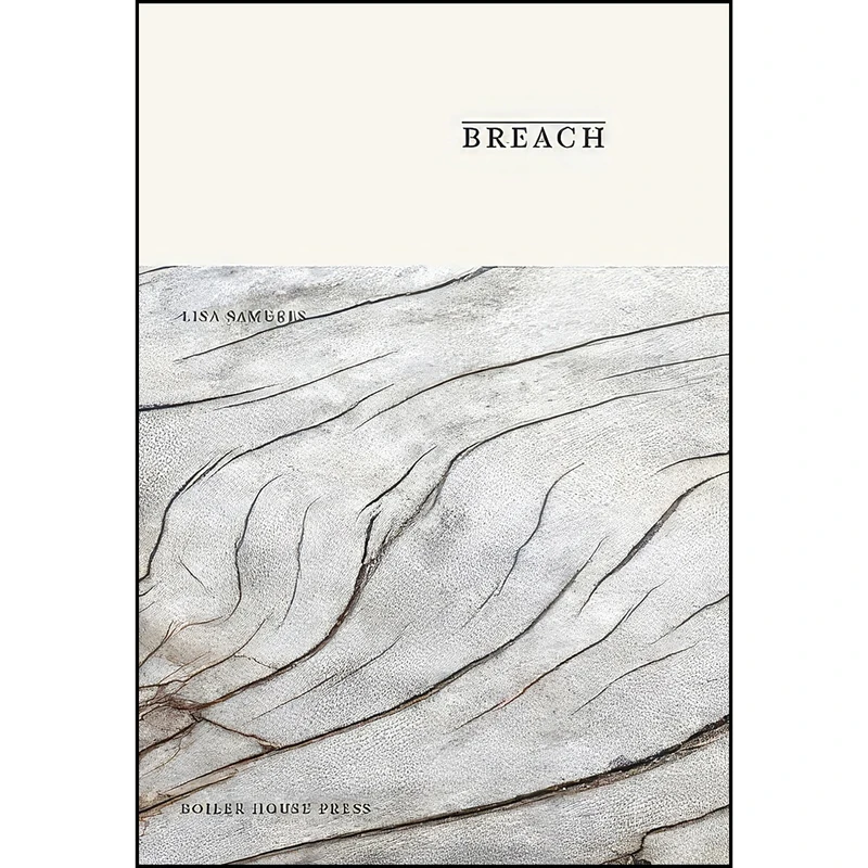 کتاب Breach اثر Eliot Peper انتشارات تازه ها