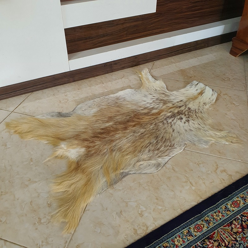 فرش پوست مدل Nixo 8142