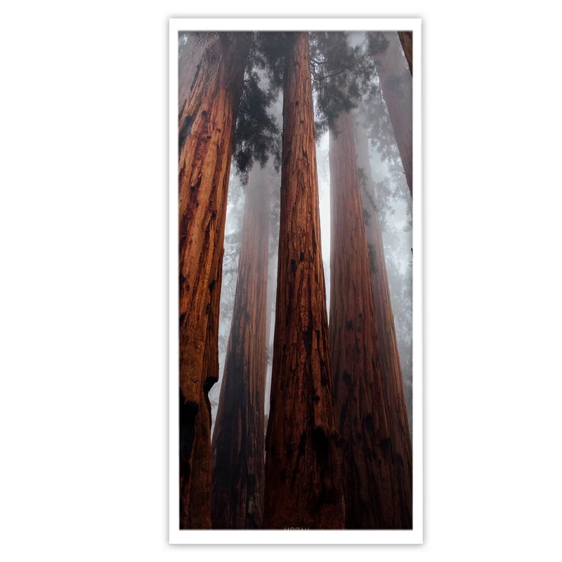 تابلو بکلیت طرح جنگل و مه مدل B-S3828