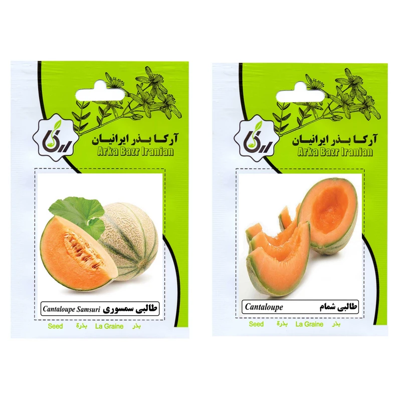 بذر میوه طالبی سمسوری و طالبی شمام آرکا بذر ایرانیان کد ARK-A-ARK-02 وزن 20 گرم مجموعه 2 عددی