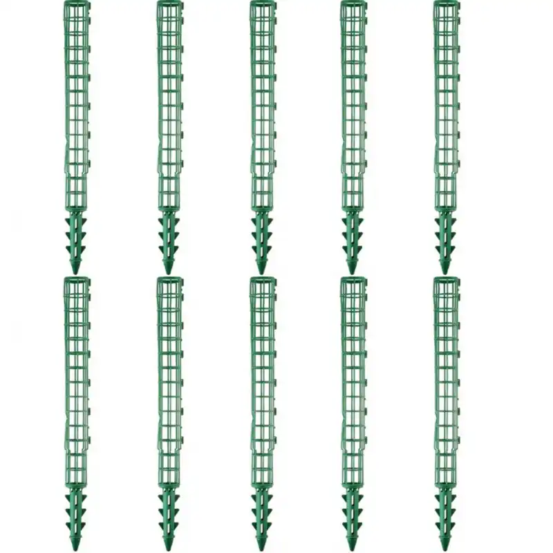 قیم بند مدل تاشو بدون خزه بسته 10 عددی