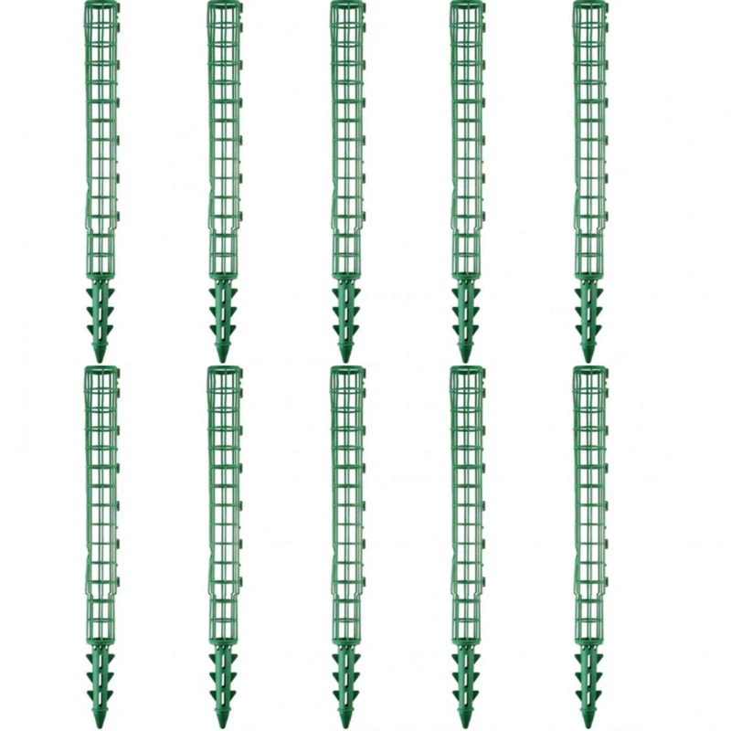  قیم بند مدل تاشو بدون خزه بسته 10 عددی