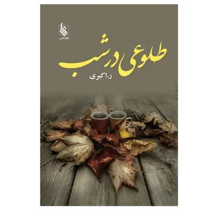 کتاب طلوعی در شب اثر رویا اکبری نشر علی