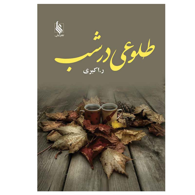 کتاب طلوعی در شب اثر رویا اکبری نشر علی