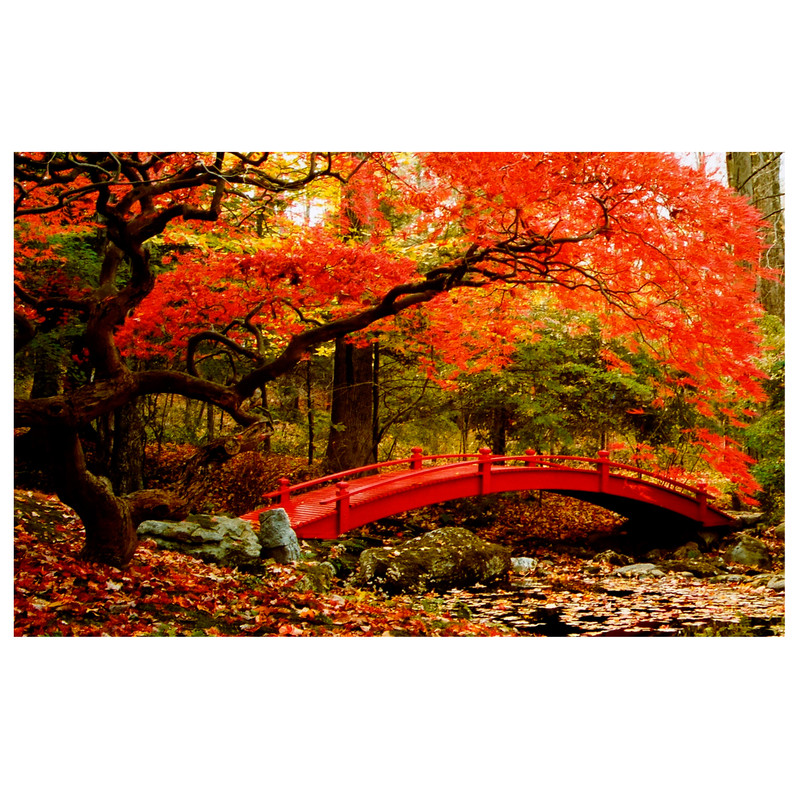 پازل 1000 تکه ایران پازل طرح پلی روی آب