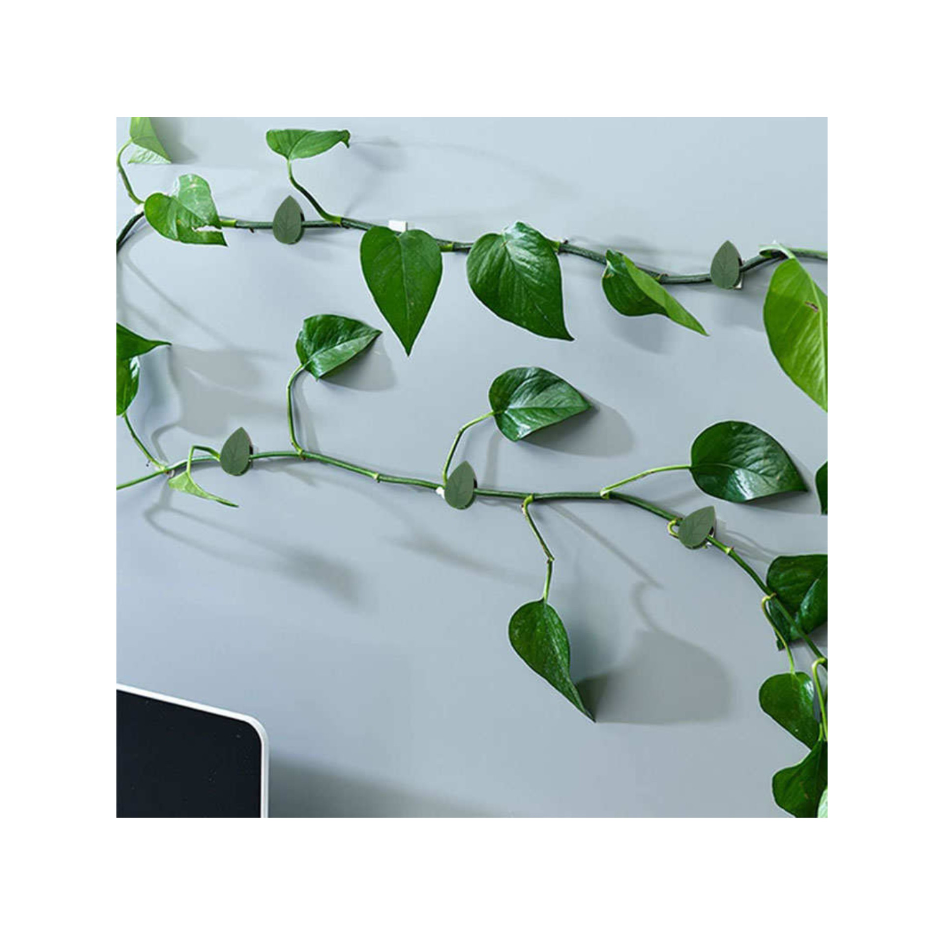 قیم بند مدل برگ بسته 100 عددی