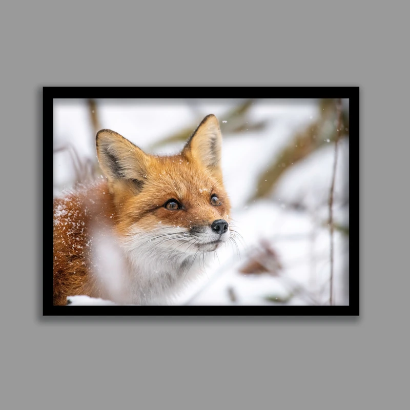 تابلو مدل روباه و زمستان کد LA-G10335-2