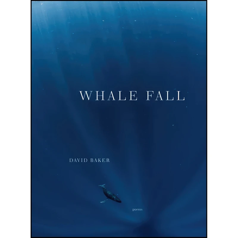 کتاب Whale Fall اثر David Baker انتشارات W. W. Norton And Company