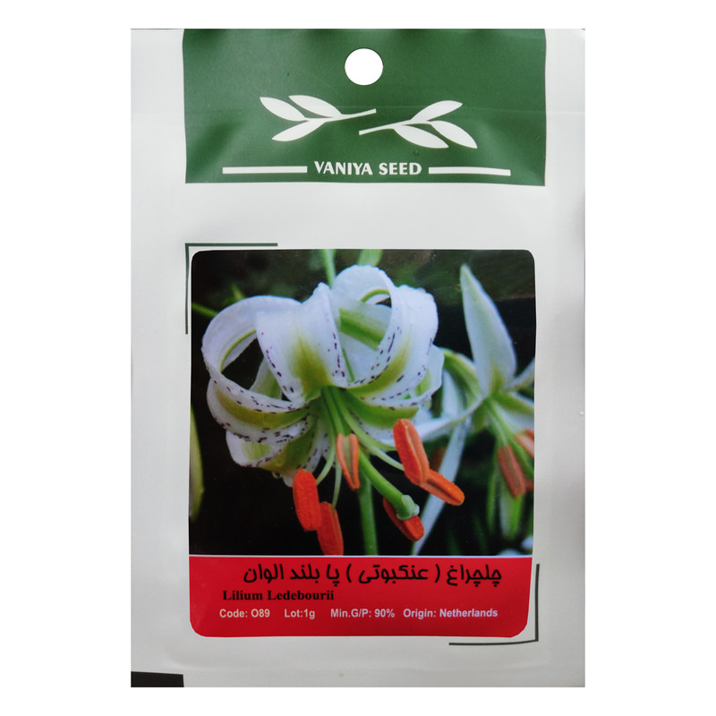 بذر گل چلچراغ پابلند الوان وانیا سید مدل O89