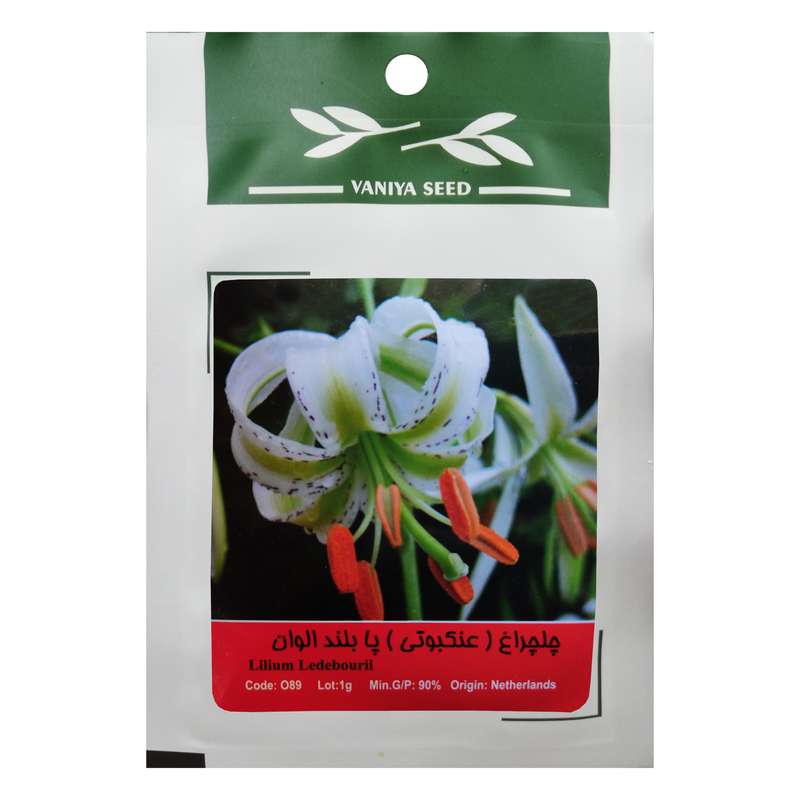 بذر گل چلچراغ پابلند الوان وانیا سید مدل O89