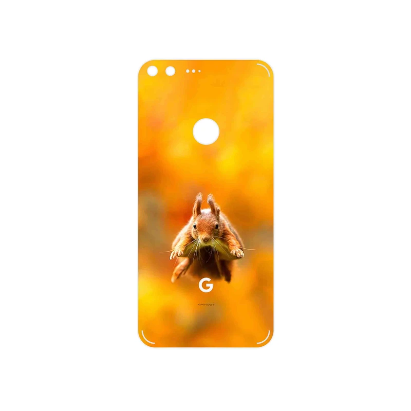 برچسب پوششی ماهوت مدل Squirrel مناسب برای گوشی موبایل گوگل Pixel