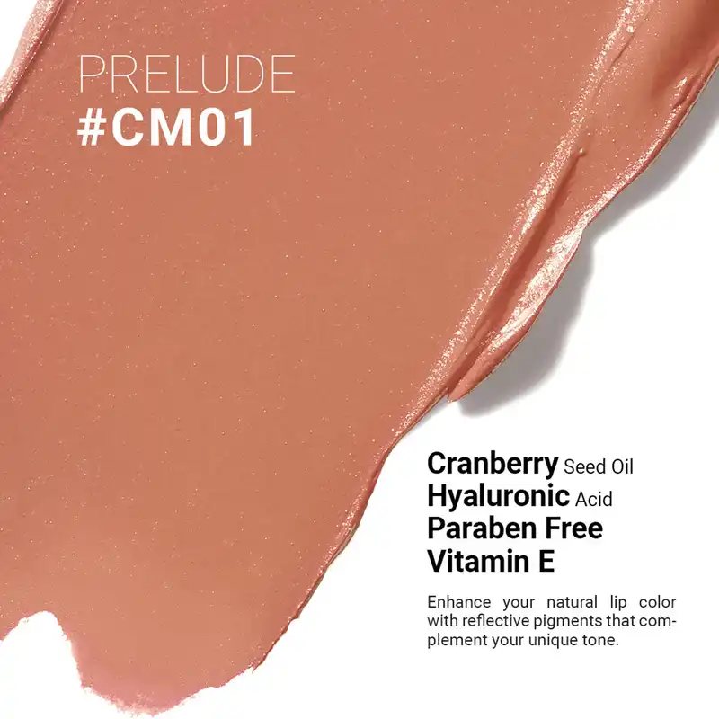 رژ لب مدادی اشتون مدل مات مخملی شماره CM01