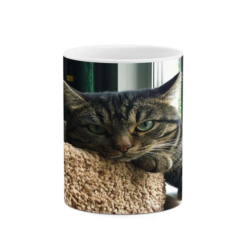 ماگ کاکتی مدل گربه کد mgh14687