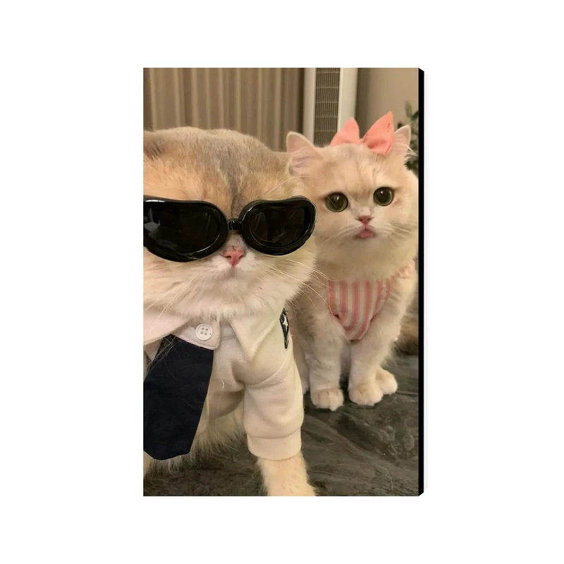 تابلو شاسی عرش مدل فانتزی گربه کد As3112