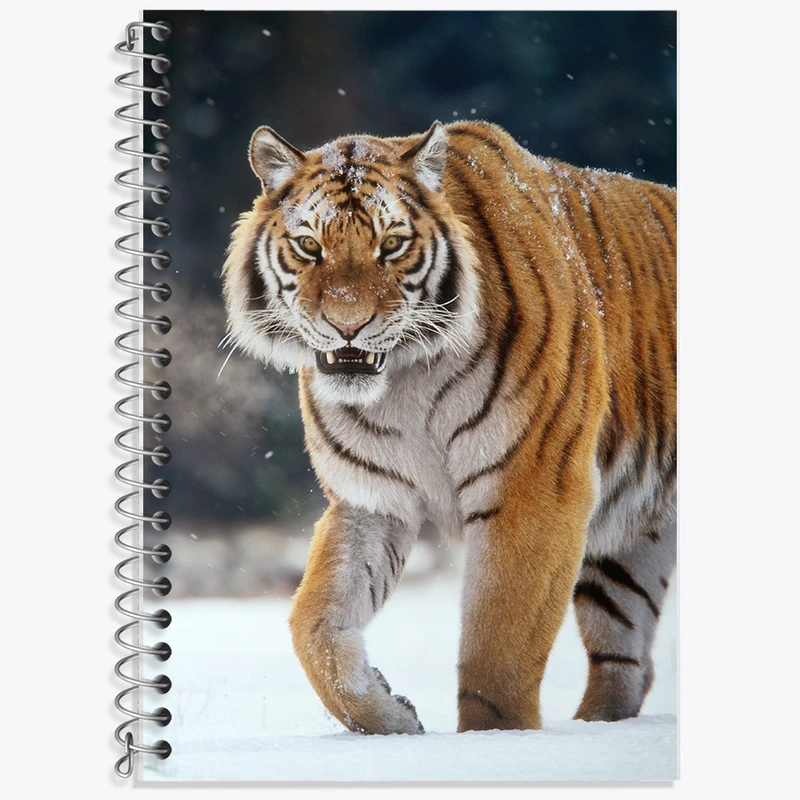 دفتر زبان 50 برگ خندالو مدل دو خط طرح ببر کد F582