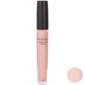 رژ لب مایع بی وای اس سری DIAMOND SHINE شماره 06