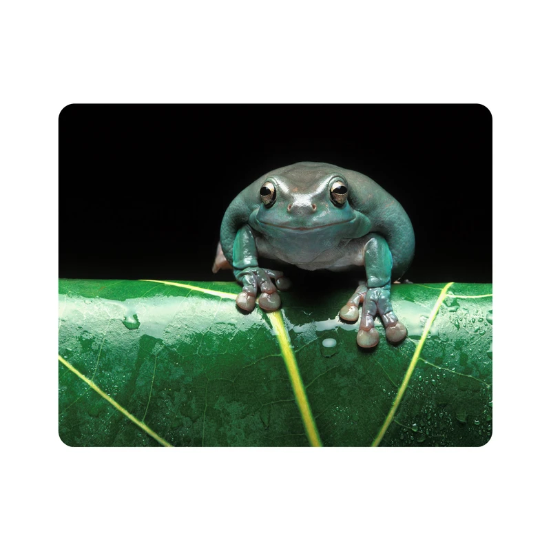 ماوس پد اطلس آبی طرح برگ و قورباغه  مدل T2183