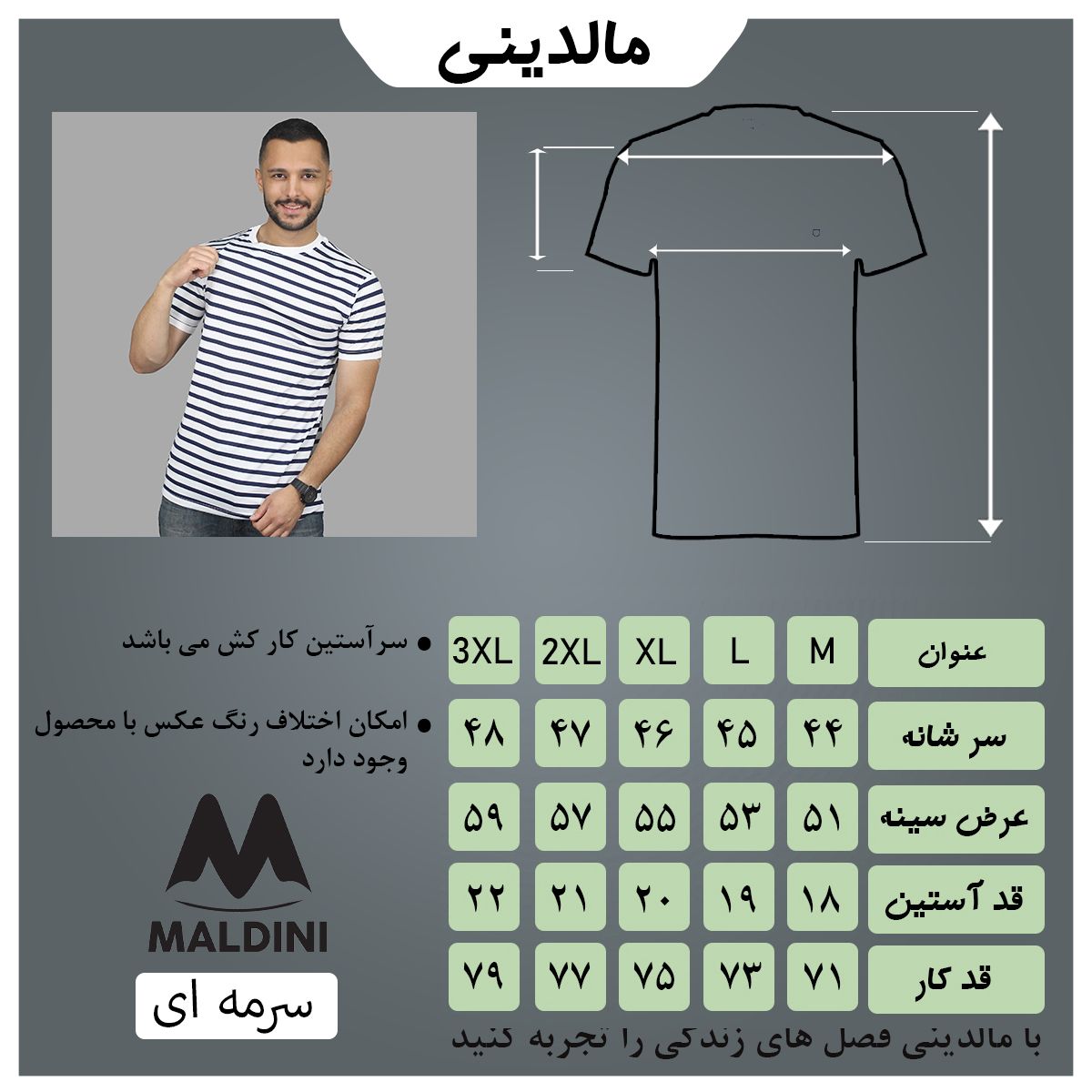 تی شرت آستین کوتاه مردانه مالدینی مدل t-499 -  - 4