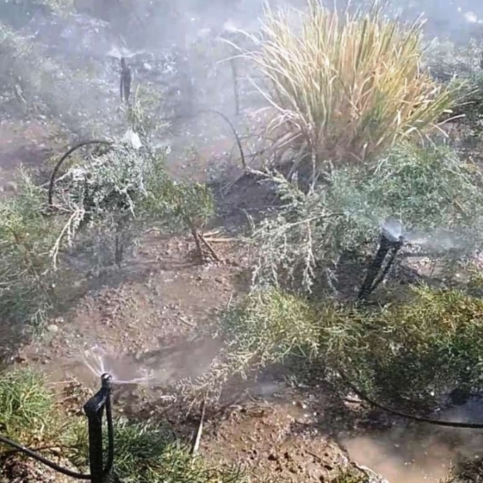 پایه قیم آبیاری مدل SA20700 بسته 100 عددی