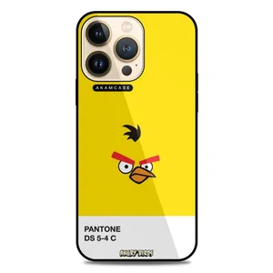AKAM AMC-WA13PRO-ANGRY BIRDS14 Cover For Apple iPhone 13 Pro