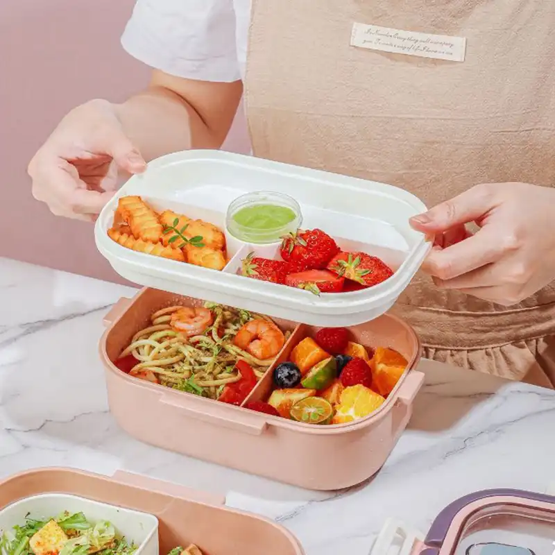 ظرف غذا مدل tedemei