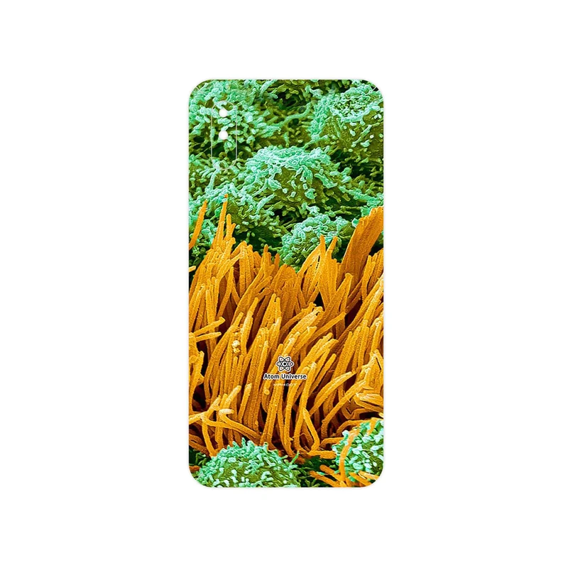 برچسب پوششی ماهوت مدل Atom Universe 6 مناسب برای گوشی موبایل شیائومی Redmi 9i Sport