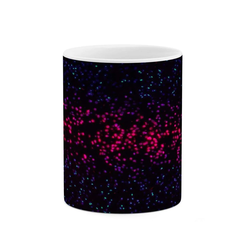 ماگ کاکتی مدل فانتزی کد mgh16848