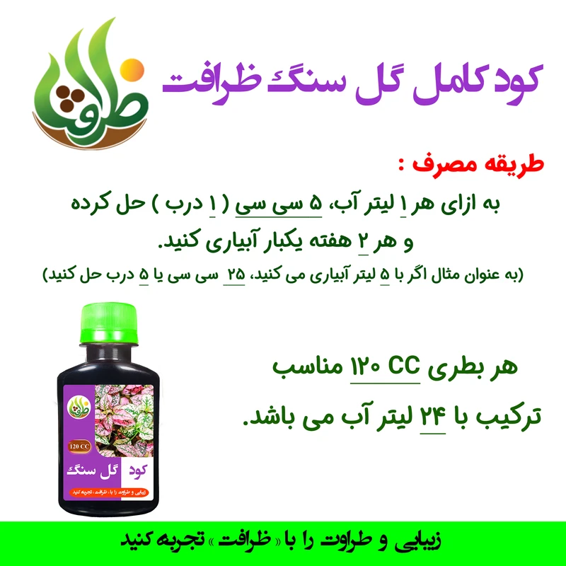 عکس شماره 3