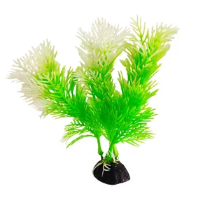 گیاه تزیینی آکواریوم کد 420