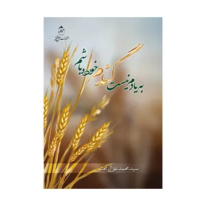 کتاب به یادم نیست گندم خورده باشم اثر سید محمد علی آل مجتبی نشر حس هفتم