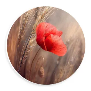 دیوارکوب طرح گل شقایق مدل wtb968