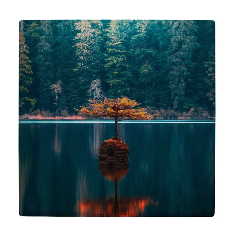 زیر لیوانی  طرح جنگل دریاچه کد    6147606_5391